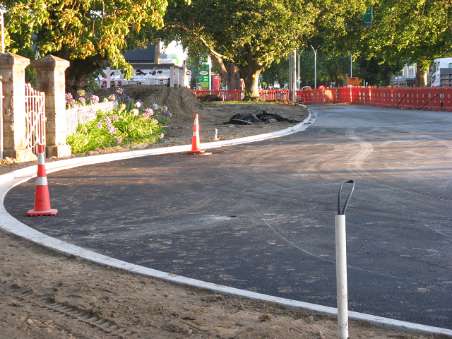 21. The park side of the roundabout. Cambridge Tree Trust